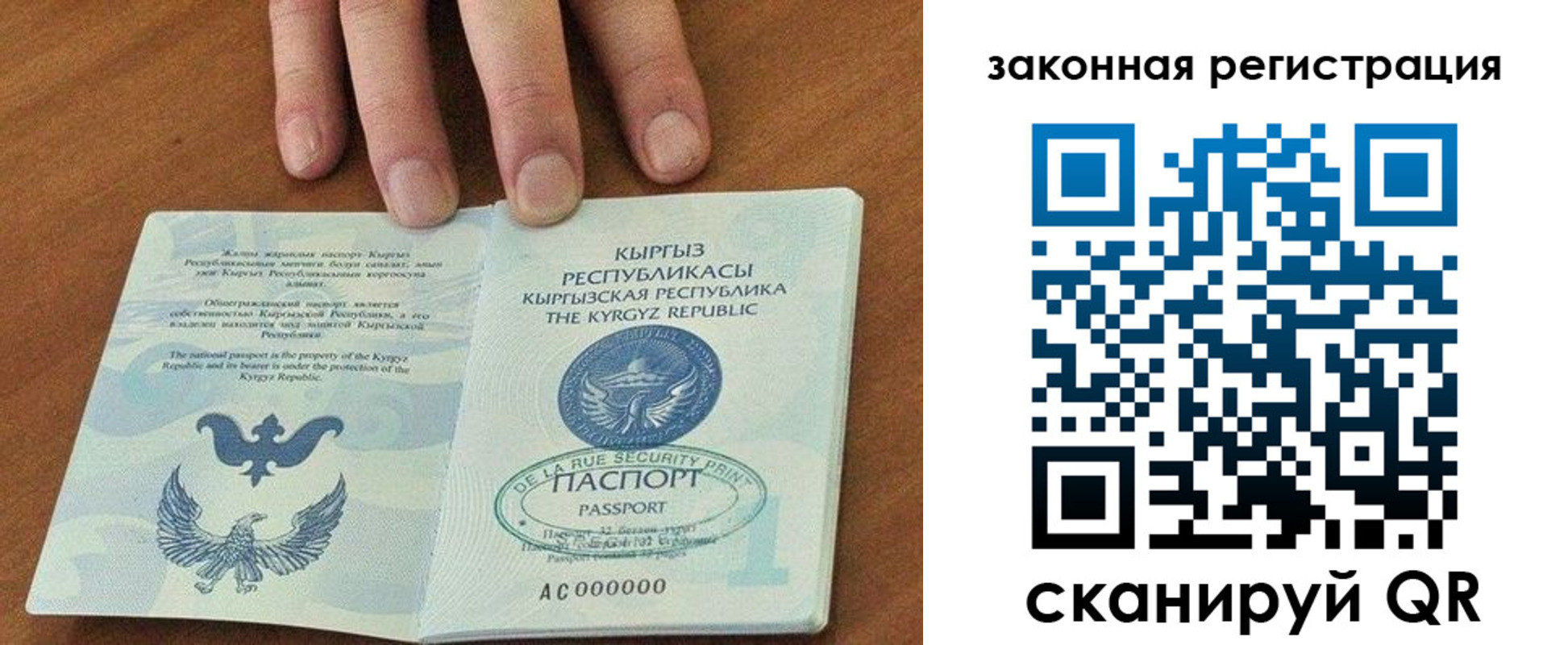 прописка гарантия в Светлом